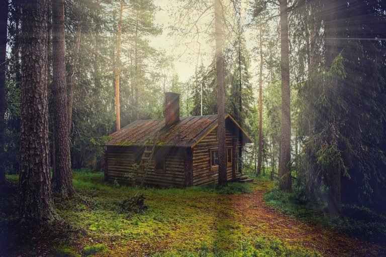 Idées et conseils de cabanes dans les arbres